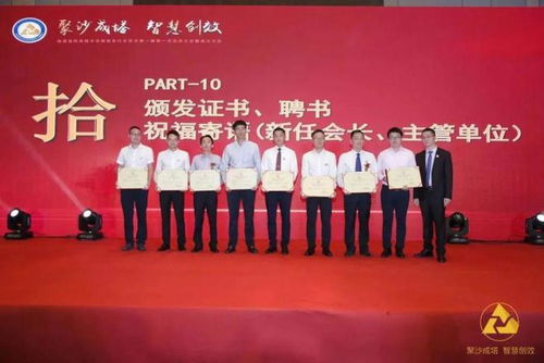 福建省信息技術咨詢服務行業(yè)協(xié)會會長陳維芳向全國人民拜新年